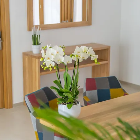 Nuova -luxury & Apartment- *